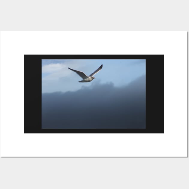 Flying about the Fog Wall Art by daviddenny